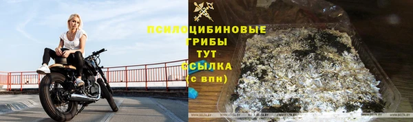 дживик Алексеевка