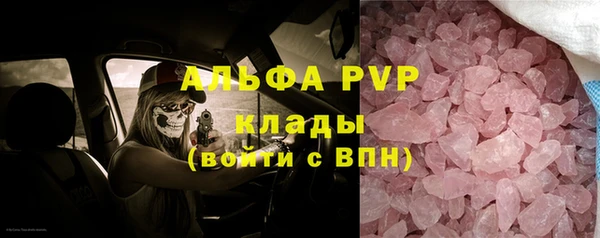 прущий лед Алзамай