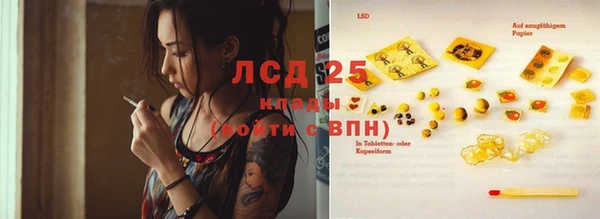 прущий лед Алзамай