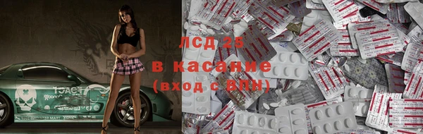 прущий лед Алзамай