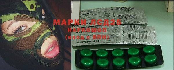 прущий лед Алзамай