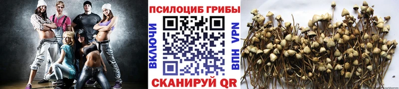 Псилоцибиновые грибы MAGIC MUSHROOMS  Мещовск 